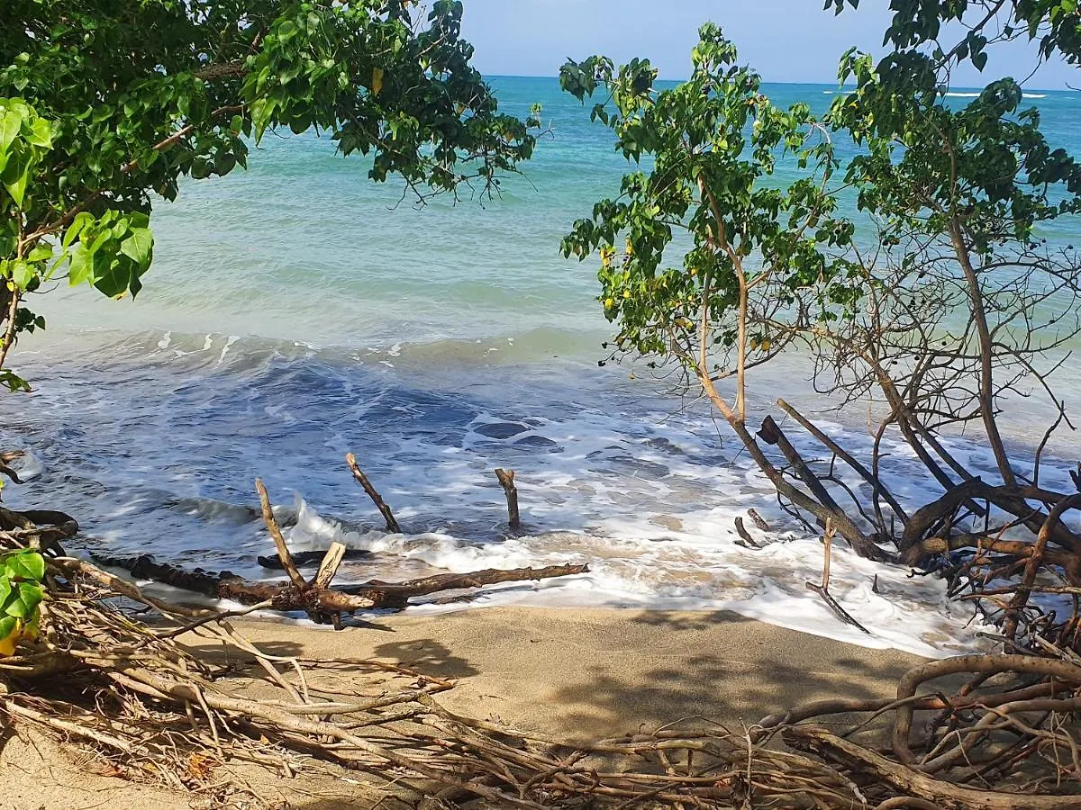 شقة Le Ti-Anolis Tartane Martinique لا ترينيت